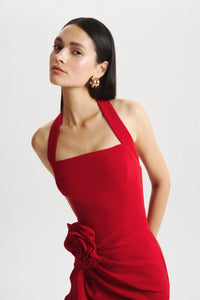 Ruby in Crimson Red