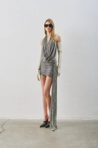 Riri in Silver Cadilac